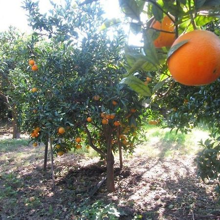 شقة Come In Sicily La Pietra Monaca أتشيريالي المظهر الخارجي الصورة